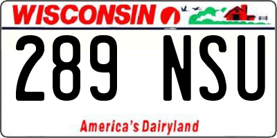 WI license plate 289NSU