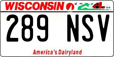 WI license plate 289NSV