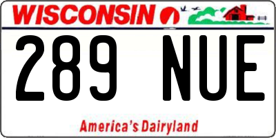 WI license plate 289NUE