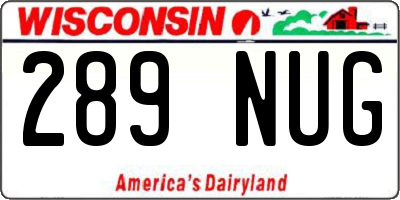 WI license plate 289NUG
