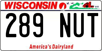 WI license plate 289NUT