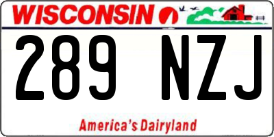 WI license plate 289NZJ