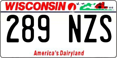 WI license plate 289NZS