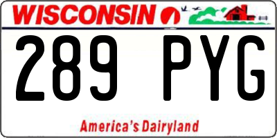 WI license plate 289PYG