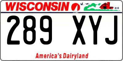 WI license plate 289XYJ