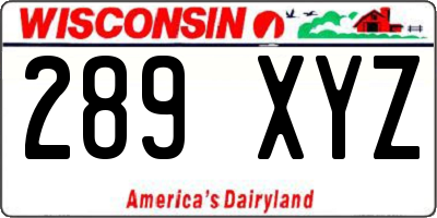 WI license plate 289XYZ