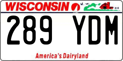 WI license plate 289YDM