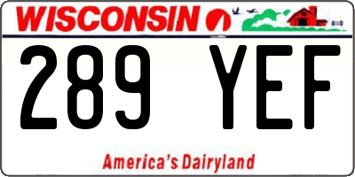 WI license plate 289YEF