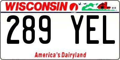 WI license plate 289YEL