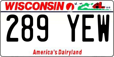 WI license plate 289YEW