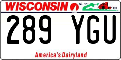 WI license plate 289YGU