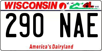 WI license plate 290NAE