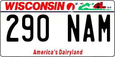 WI license plate 290NAM