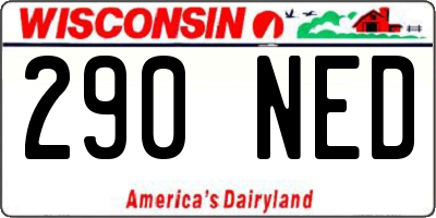 WI license plate 290NED