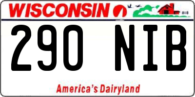 WI license plate 290NIB