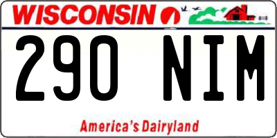 WI license plate 290NIM