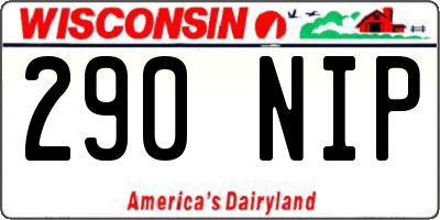 WI license plate 290NIP