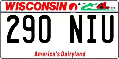 WI license plate 290NIU