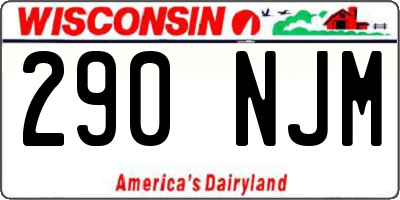 WI license plate 290NJM