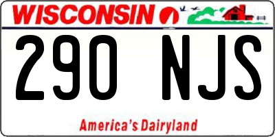 WI license plate 290NJS