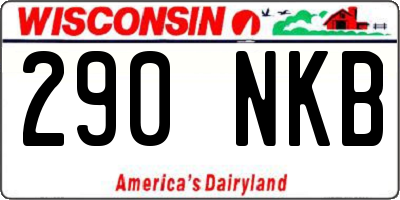 WI license plate 290NKB