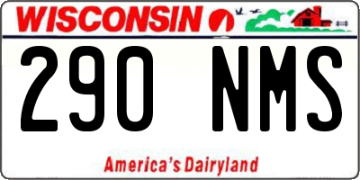 WI license plate 290NMS