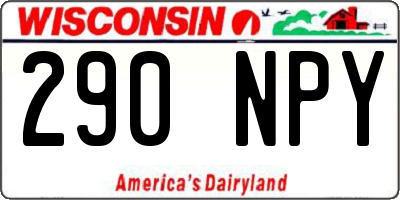 WI license plate 290NPY