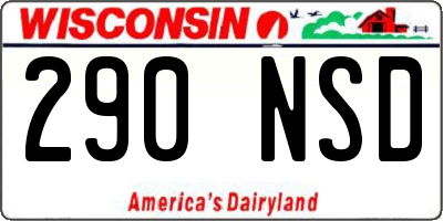 WI license plate 290NSD