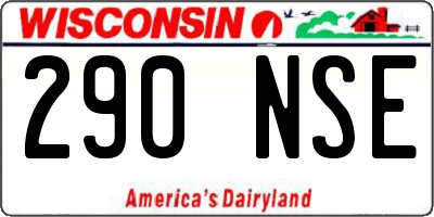 WI license plate 290NSE
