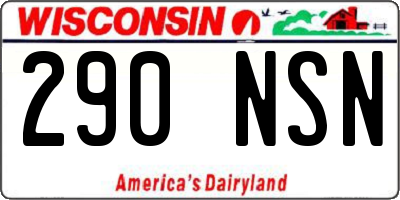WI license plate 290NSN