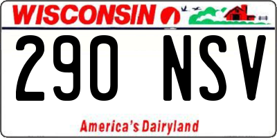 WI license plate 290NSV