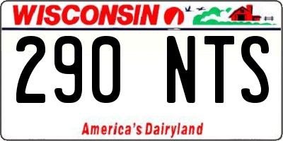 WI license plate 290NTS