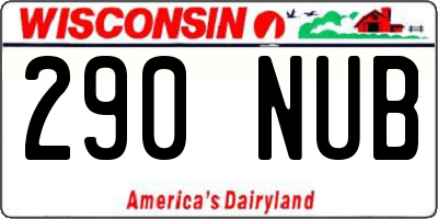 WI license plate 290NUB