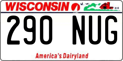 WI license plate 290NUG
