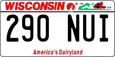 WI license plate 290NUI