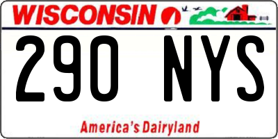 WI license plate 290NYS