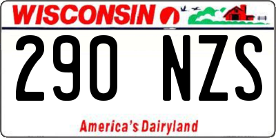 WI license plate 290NZS