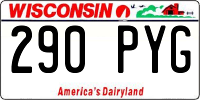 WI license plate 290PYG