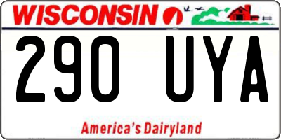 WI license plate 290UYA