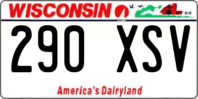 WI license plate 290XSV