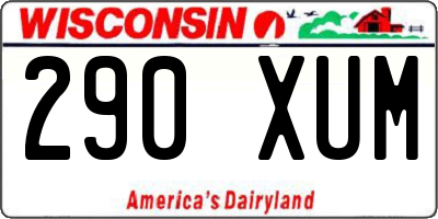 WI license plate 290XUM