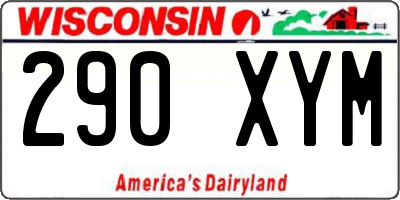 WI license plate 290XYM