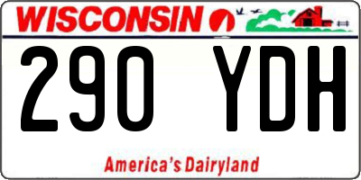 WI license plate 290YDH