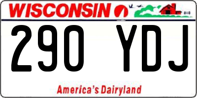 WI license plate 290YDJ