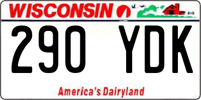 WI license plate 290YDK