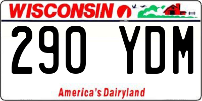 WI license plate 290YDM