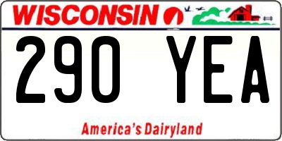 WI license plate 290YEA