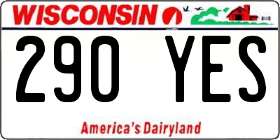 WI license plate 290YES