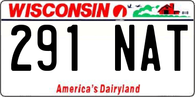 WI license plate 291NAT
