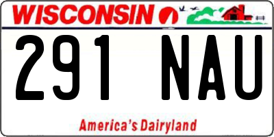 WI license plate 291NAU